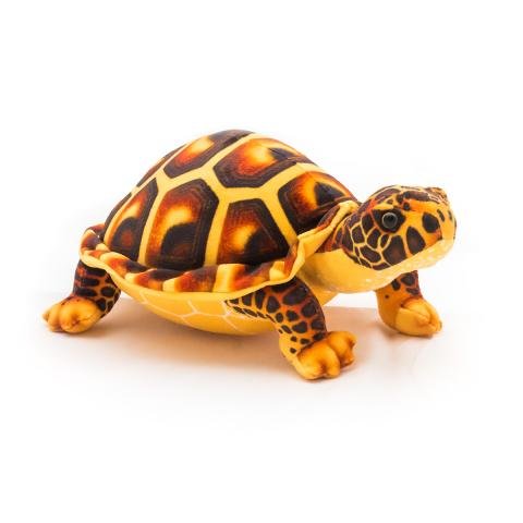 Seychelles Yellow-Bellied Mud Terrapin - SeyWei Seychelles Soft Toys ...